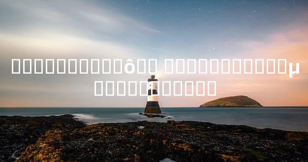 ����������ô�� �ִ������ӽ��µ����Ҷ���ָ��